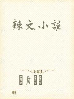 辣文小说