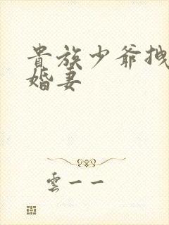 贵族少爷拽拽未婚妻