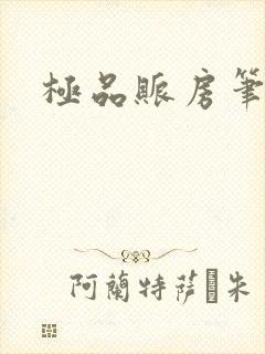 极品账房笔趣阁