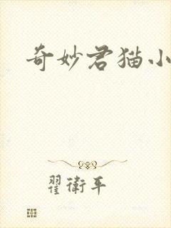 奇妙君猫小九