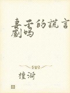 妻子的谎言是韩剧吗