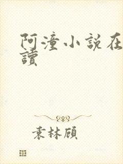 阿潼小说在线阅读