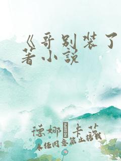 《哥别装了》原著小说