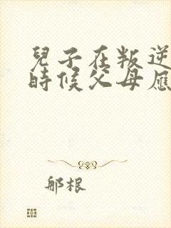 儿子在叛逆期的时候父母应该怎么做