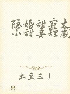 隐婚甜宠大财阀小甜妻短剧