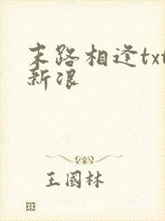 末路相逢txt新浪