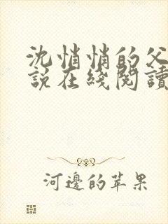 沈悄悄的父女小说在线阅读