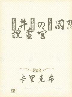 辻井ほのか国际搜查官