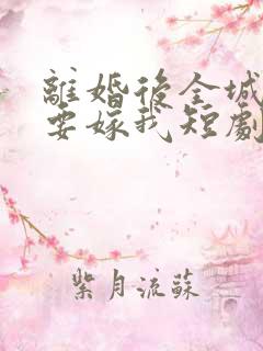 离婚后全城千金要嫁我短剧免费观看