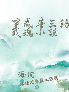 穿成唐三的人形武魂小说