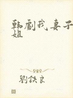 韩剧我妻子的姐姐