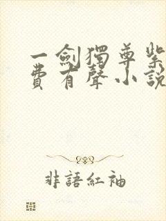 一剑独尊紫襟免费有声小说