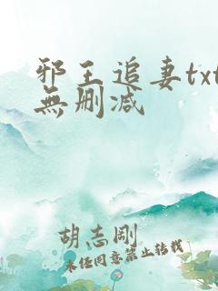 邪王追妻txt无删减