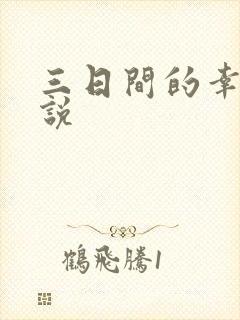 三日间的幸福小说