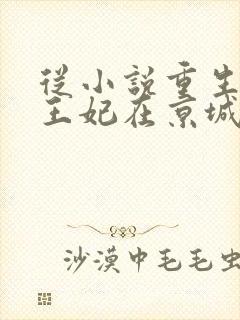 从小说重生后,王妃在京城杀疯了小说