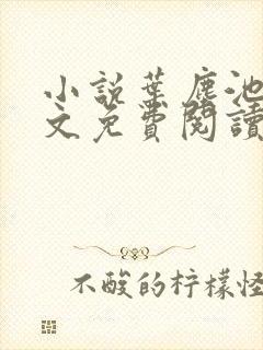 小说叶尘池瑶全文免费阅读