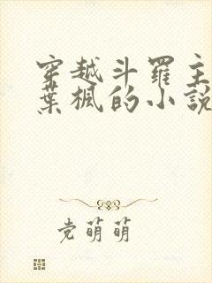 穿越斗罗主角是叶枫的小说