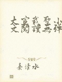 大宣武圣小说全文阅读无弹窗