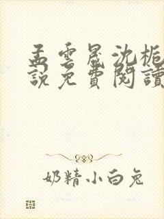 孟云晟沈栀意小说免费阅读最新章节