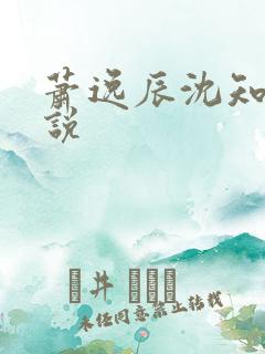 萧逸辰沈知意小说