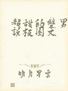 超甜的双男主小说校园文