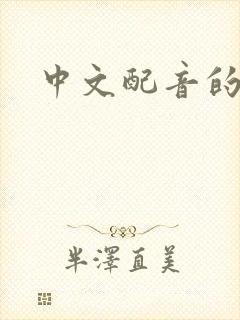 中文配音的韩剧