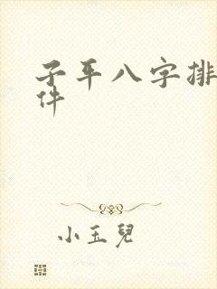 子平八字排盘软件