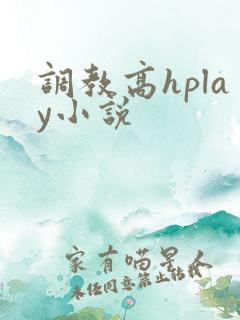 调教高hplay小说