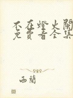 不在灯火阑珊处免费看全集