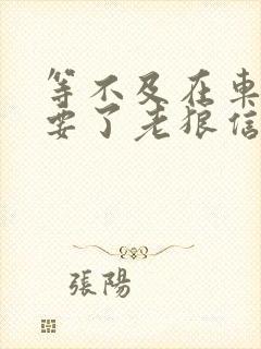 等不及在车里就要了老狼信息