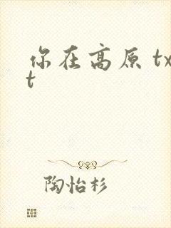 你在高原 txt