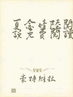 夏念晴陆闻琛小说免费阅读最新章节