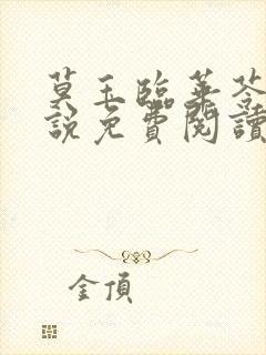 莫玉临华苓燕小说免费阅读最新章节