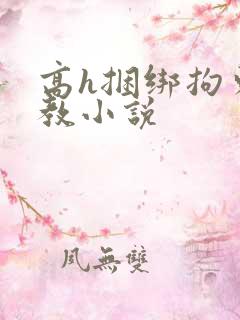 高h捆绑拘束调教小说