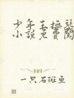 少年王抚琴的人小说免费阅读全文无删减