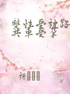 双性受被路人公共车受孕