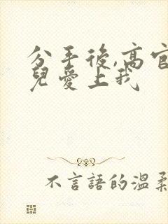 分手后,高官女儿爱上我