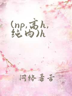 (np,高h,纯肉)h