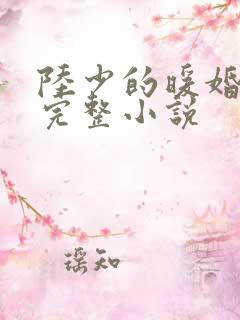 陆少的暖婚新妻完整小说