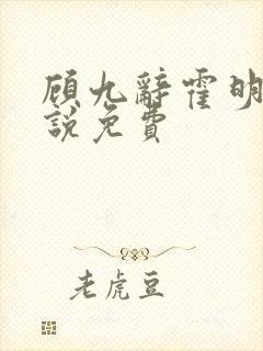 顾九辞霍明澈小说免费