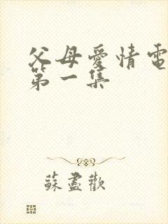 父母爱情电视剧第一集