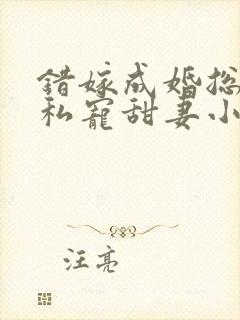 错嫁成婚总裁的私宠甜妻小说