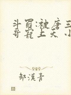 斗罗:被唐三哥哥宠上天 小说