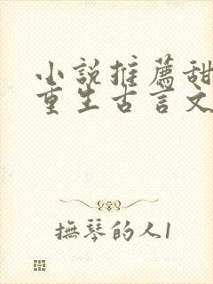 小说推荐甜宠文重生古言文