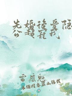 先婚后爱隐婚老公超宠我