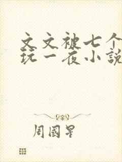 文文被七个男人玩一夜小说