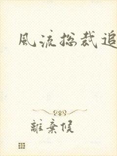 风流总裁追妻记