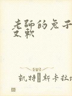 老师的兔子又大又软