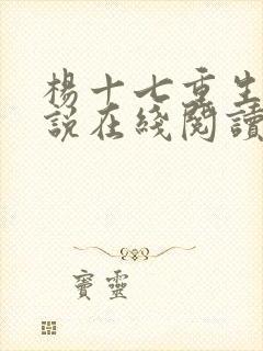 杨十七重生记小说在线阅读