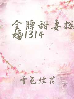金牌甜妻总裁宠婚1314
